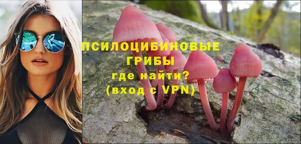хмурый Алексеевка