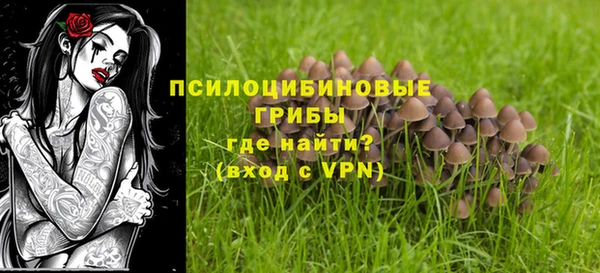 бутират Алзамай