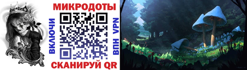 Псилоцибиновые грибы прущие грибы  Чайковский 