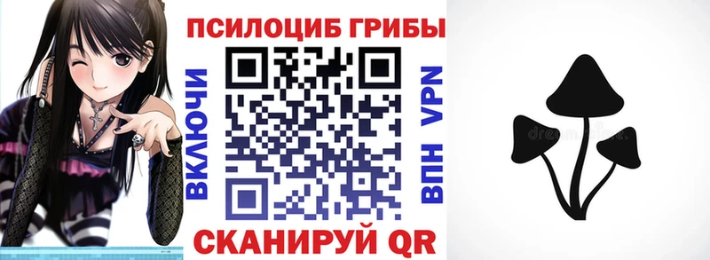 Псилоцибиновые грибы мицелий Чайковский