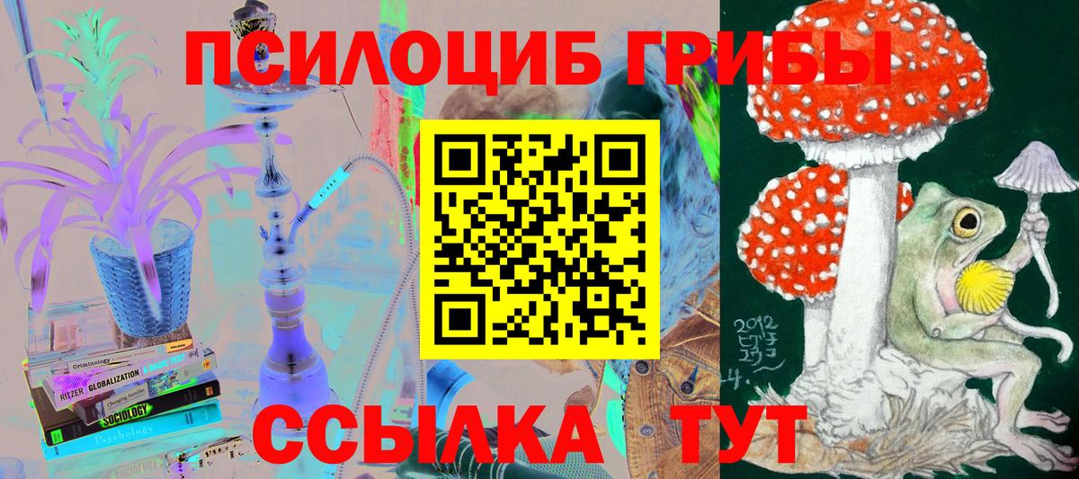 Чайковский  Псилоцибиновые грибы GOLDEN TEACHER  Вход с VPN 